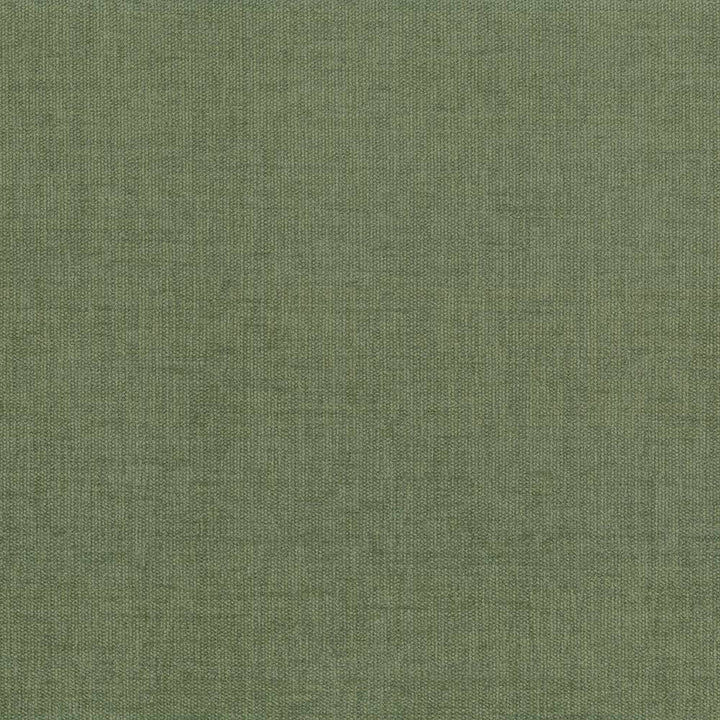 Pinnacle Fern by Kasmir Fabric 5046 INDIA 102,000 Wyzenbeek Double Rubs H: N/A, V:N/A 54 - 55 - Fabric Carolina - Kasmir