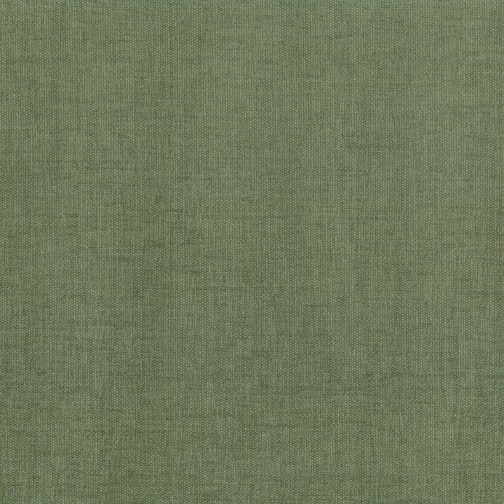 Pinnacle Fern by Kasmir Fabric 5046 100% Polyester
 INDIA </p><p>Repeat: Horizontal: N/A and Vertical: N/A 54 - 55 - Fabric Carolina -
