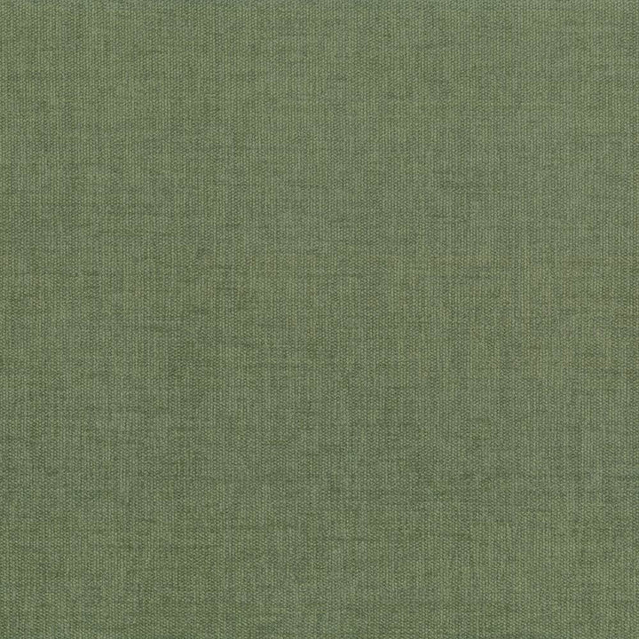 Pinnacle Fern by Kasmir Fabric 5046 100% Polyester
 INDIA </p><p>Repeat: Horizontal: N/A and Vertical: N/A 54 - 55 - Fabric Carolina -
