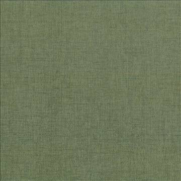 Pinnacle Fern by Kasmir Fabric 5046 100% Polyester INDIA 102,000 Wyzenbeek Double Rubs H: N/A, V: N/A 54 - 55 - Fabric Carolina - Kasmir