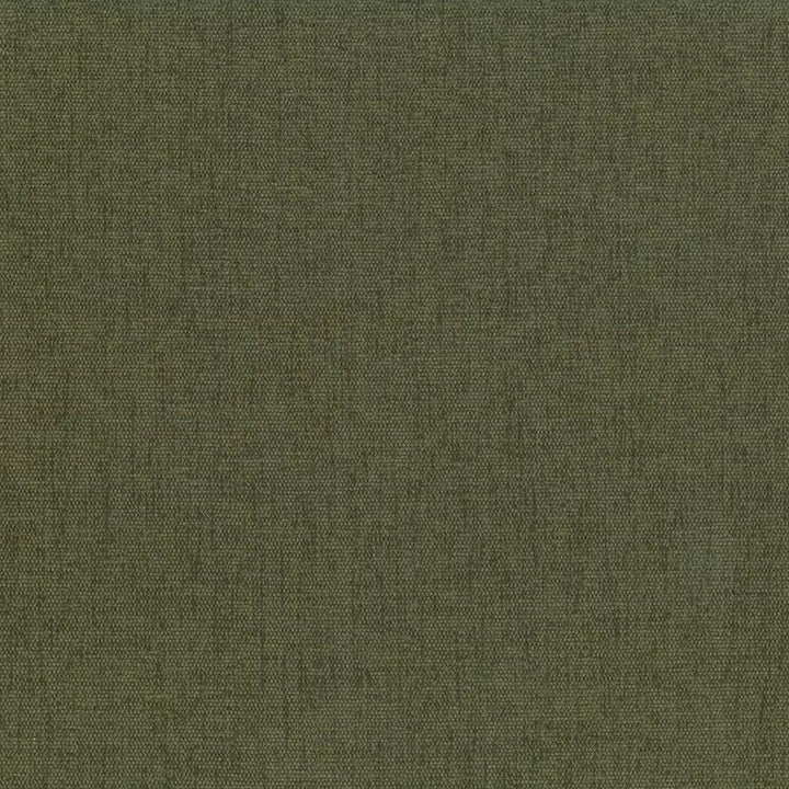 Pinnacle Forest by Kasmir Fabric 5046 100% Polyester
 INDIA 102,000 Wyzenbeek Double Rubs </p><p>Repeat: Horizontal: N/A and Vertical: N/A 54 - Fabric Carolina -