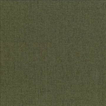 Pinnacle Forest by Kasmir Fabric 5046 100% Polyester INDIA 102,000 Wyzenbeek Double Rubs H: N/A, V: N/A 54 - 55 - Fabric Carolina - Kasmir