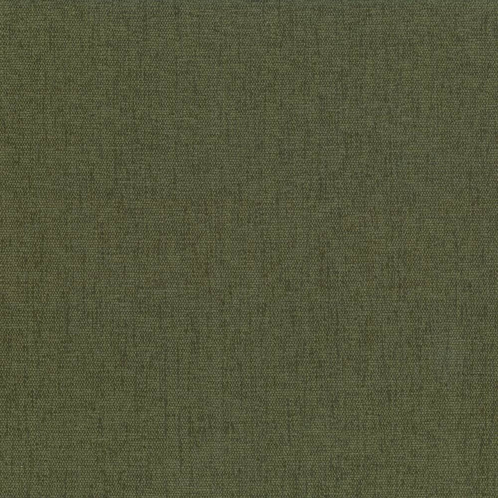 Pinnacle Forest by Kasmir Fabric 5046 INDIA 102,000 Wyzenbeek Double Rubs H: N/A, V:N/A 54 - 55 - Fabric Carolina - Kasmir