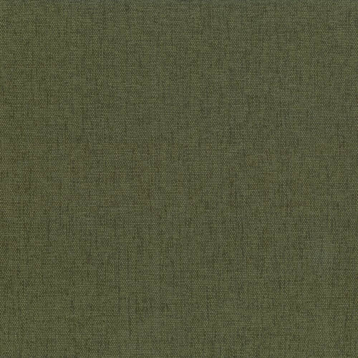 Pinnacle Forest by Kasmir Fabric 5046 100% Polyester
 INDIA </p><p>Repeat: Horizontal: N/A and Vertical: N/A 54 - 55 - Fabric Carolina -