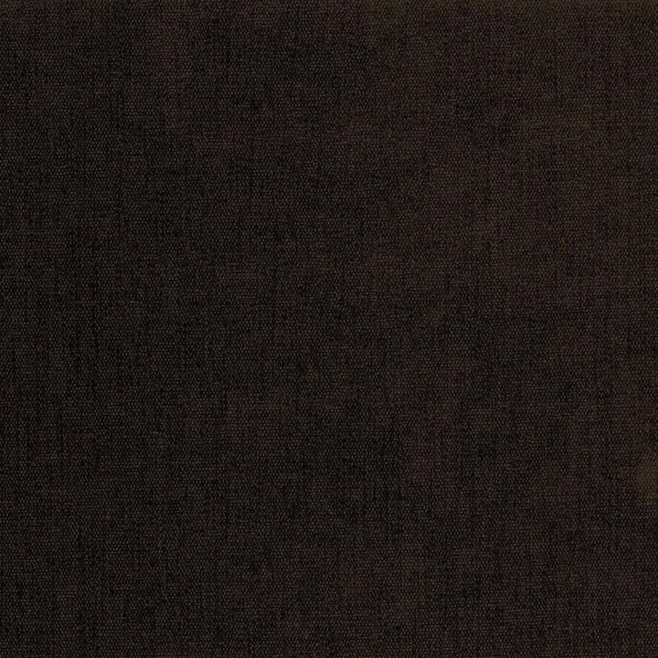 Pinnacle Fudge by Kasmir Fabric 5046 INDIA 102,000 Wyzenbeek Double Rubs H: N/A, V:N/A 54 - 55 - Fabric Carolina - Kasmir