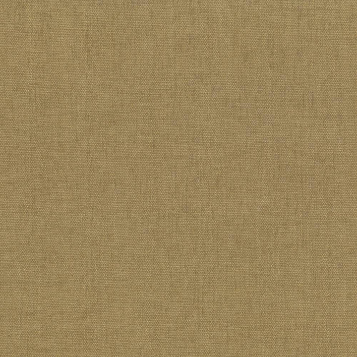 Pinnacle Gold by Kasmir Fabric 5046 INDIA 102,000 Wyzenbeek Double Rubs H: N/A, V:N/A 54 - 55 - Fabric Carolina - Kasmir