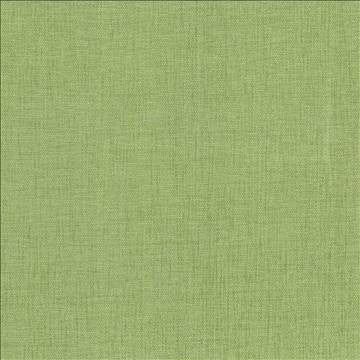 Pinnacle Grass by Kasmir Fabric 5046 100% Polyester INDIA 102,000 Wyzenbeek Double Rubs H: N/A, V: N/A 54 - 55 - Fabric Carolina - Kasmir