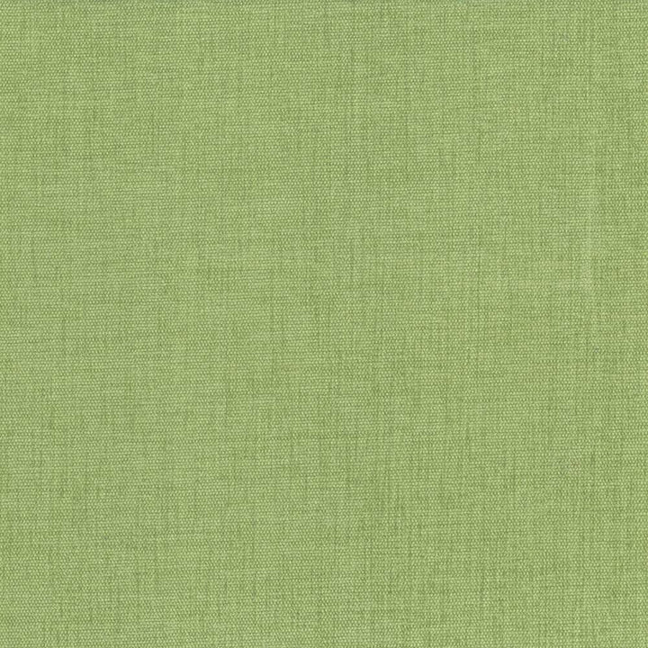 Pinnacle Grass by Kasmir Fabric 5046 100% Polyester INDIA 102,000 Wyzenbeek Double Rubs Horizontal: 0 Inches and Vertical: 0 Inches 54 - 55 - Fabric Carolina -