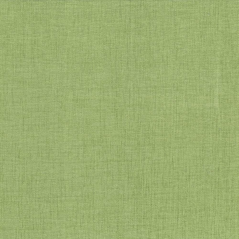 Pinnacle Grass by Kasmir Fabric 5046 100% Polyester
 INDIA </p><p>Repeat: Horizontal: N/A and Vertical: N/A 54 - 55 - Fabric Carolina -