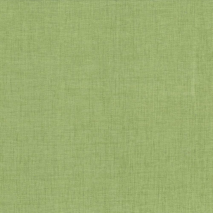 Pinnacle Grass by Kasmir Fabric 5046 100% Polyester
 INDIA </p><p>Repeat: Horizontal: N/A and Vertical: N/A 54 - 55 - Fabric Carolina -