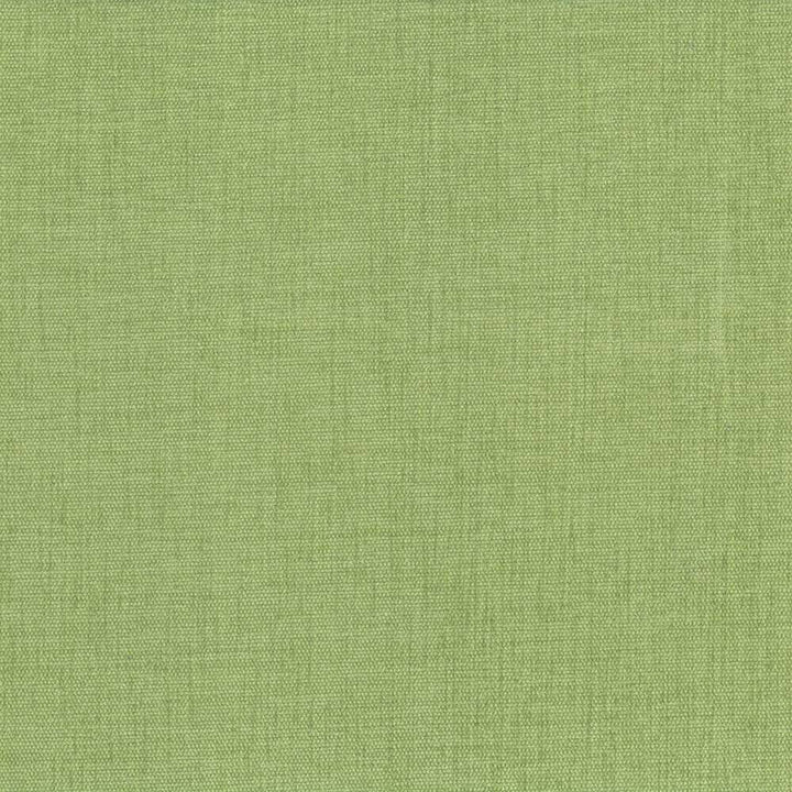 Pinnacle Grass by Kasmir Fabric 5046 INDIA 102,000 Wyzenbeek Double Rubs H: N/A, V:N/A 54 - 55 - Fabric Carolina - Kasmir