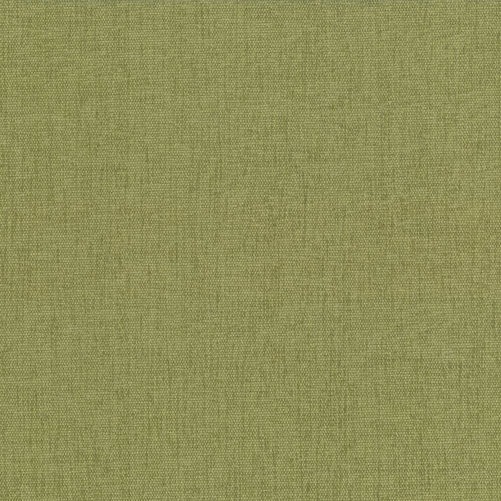 Pinnacle Herb by Kasmir Fabric 5046 100% Polyester
 INDIA </p><p>Repeat: Horizontal: N/A and Vertical: N/A 54 - 55 - Fabric Carolina -