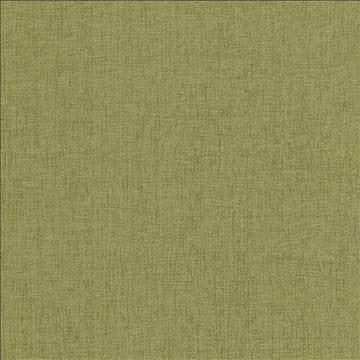Pinnacle Herb by Kasmir Fabric 5046 100% Polyester INDIA 102,000 Wyzenbeek Double Rubs H: N/A, V: N/A 54 - 55 - Fabric Carolina - Kasmir