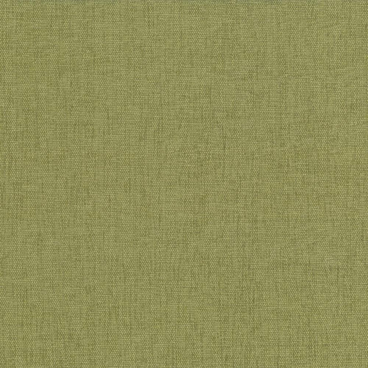 Pinnacle Herb by Kasmir Fabric 1353 INDIA 102,000 Wyzenbeek Double Rubs H: N/A, V:N/A 54 - 55 - Fabric Carolina - Kasmir