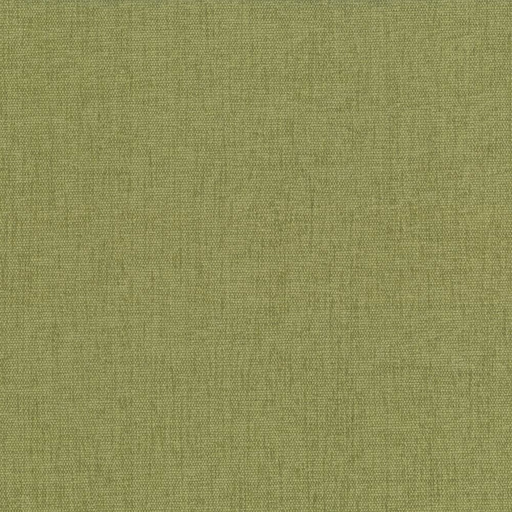 Pinnacle Herb by Kasmir Fabric 5046 100% Polyester
 INDIA 102,000 Wyzenbeek Double Rubs </p><p>Repeat: Horizontal: N/A and Vertical: N/A 54 - Fabric Carolina -