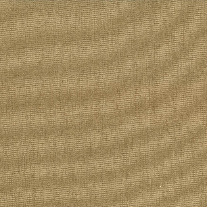 Pinnacle Honey by Kasmir Fabric 1353 100% Polyester
 INDIA </p><p>Repeat: Horizontal: N/A and Vertical: N/A 54 - 55 - Fabric Carolina -
