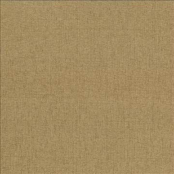 Pinnacle Honey by Kasmir Fabric 5046 100% Polyester INDIA 102,000 Wyzenbeek Double Rubs H: N/A, V: N/A 54 - 55 - Fabric Carolina - Kasmir