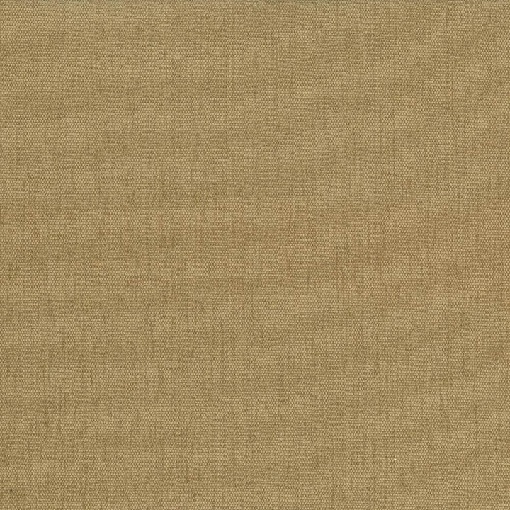 Pinnacle Honey  by Kasmir Fabric See sample 100% Polyester
 INDIA 102,000 Wyzenbeek Double Rubs </p><p>Repeat: Horizontal: N/A and Vertical: N/A 54  - Fabric Carolina -