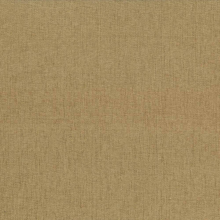 Pinnacle Honey by Kasmir Fabric 1353 INDIA 102,000 Wyzenbeek Double Rubs H: N/A, V:N/A 54 - 55 - Fabric Carolina - Kasmir