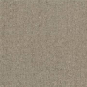 Pinnacle Linen by Kasmir Fabric 5046 100% Polyester INDIA 102,000 Wyzenbeek Double Rubs H: N/A, V: N/A 54 - 55 - Fabric Carolina - Kasmir