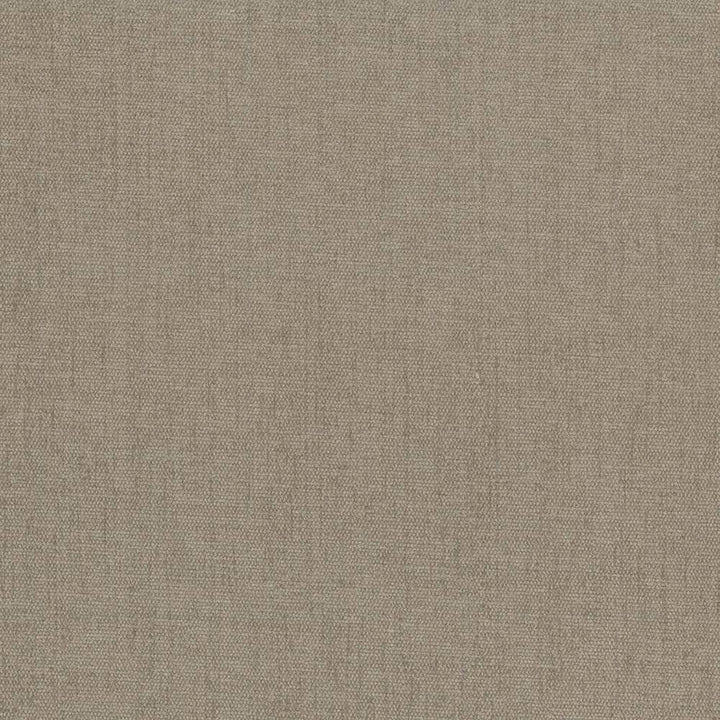 Pinnacle Linen by Kasmir Fabric 5046 INDIA 102,000 Wyzenbeek Double Rubs H: N/A, V:N/A 54 - 55 - Fabric Carolina - Kasmir