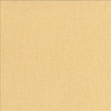 Pinnacle Maize by Kasmir Fabric 5046 100% Polyester INDIA 102,000 Wyzenbeek Double Rubs H: N/A, V: N/A 54 - 55 - Fabric Carolina - Kasmir