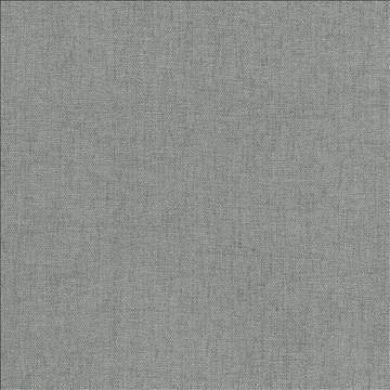 Pinnacle Mist by Kasmir Fabric 5046 100% Polyester INDIA 102,000 Wyzenbeek Double Rubs H: N/A, V: N/A 54 - 55 - Fabric Carolina - Kasmir