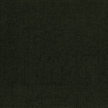 Pinnacle Moss by Kasmir Fabric 5046 100% Polyester INDIA 102,000 Wyzenbeek Double Rubs H: N/A, V: N/A 54 - 55 - Fabric Carolina - Kasmir