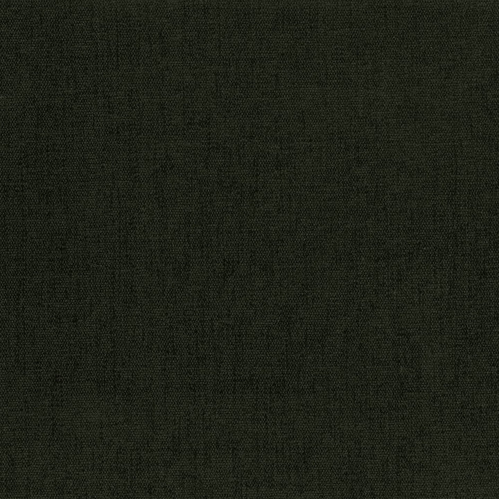 Pinnacle Moss by Kasmir Fabric 5046 100% Polyester
 INDIA </p><p>Repeat: Horizontal: N/A and Vertical: N/A 54 - 55 - Fabric Carolina -