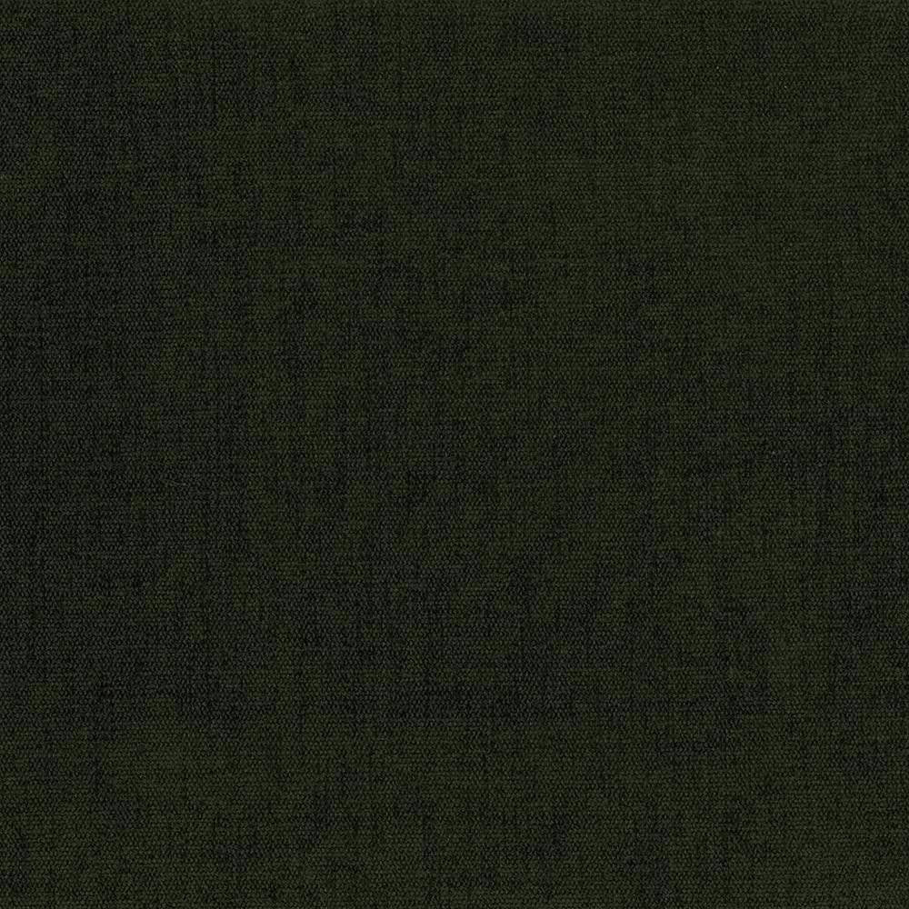 Pinnacle Moss by Kasmir Fabric 5046 INDIA 102,000 Wyzenbeek Double Rubs H: N/A, V:N/A 54 - 55 - Fabric Carolina - Kasmir