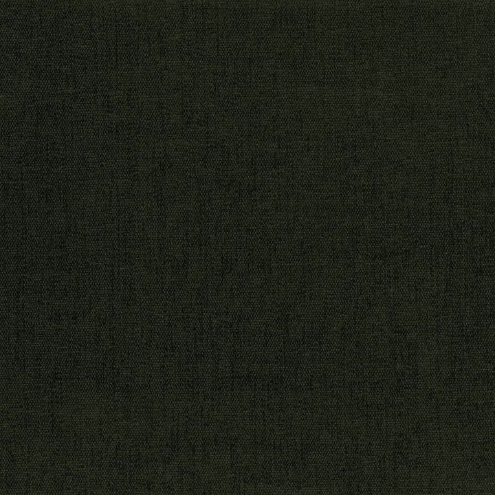 Pinnacle Moss by Kasmir Fabric 5046 100% Polyester
 INDIA 102,000 Wyzenbeek Double Rubs Horizontal: N/A and Vertical: N/A 54 - Fabric Carolina -