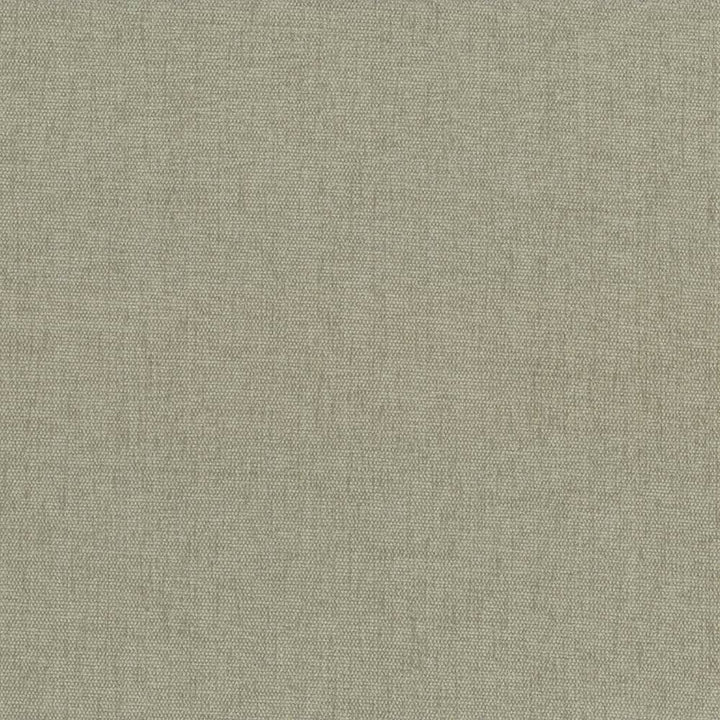 Pinnacle Mushroom by Kasmir Fabric 5046 100% Polyester
 INDIA 102,000 Wyzenbeek Double Rubs </p><p>Repeat: Horizontal: N/A and Vertical: N/A 54 - Fabric Carolina -