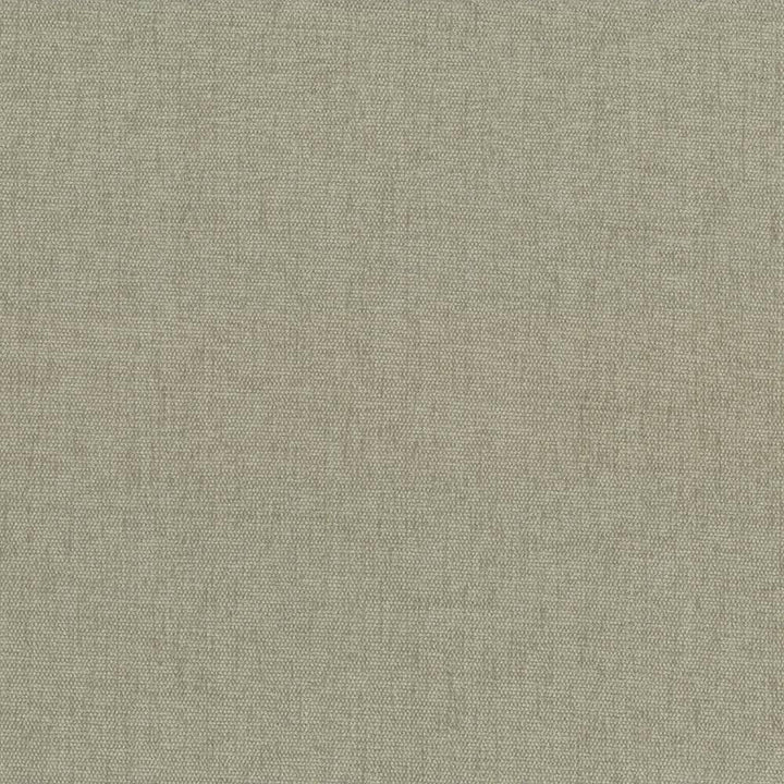 Pinnacle Mushroom by Kasmir Fabric 5046 INDIA 102,000 Wyzenbeek Double Rubs H: N/A, V:N/A 54 - 55 - Fabric Carolina - Kasmir