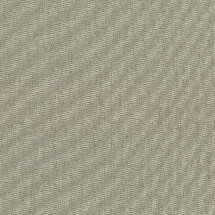 Pinnacle Mushroom by Kasmir Fabric 5046 100% Polyester
 INDIA </p><p>Repeat: Horizontal: N/A and Vertical: N/A 54 - 55 - Fabric Carolina -