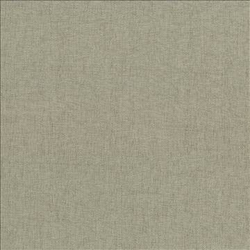 Pinnacle Mushroom by Kasmir Fabric 5046 100% Polyester INDIA 102,000 Wyzenbeek Double Rubs H: N/A, V: N/A 54 - 55 - Fabric Carolina - Kasmir