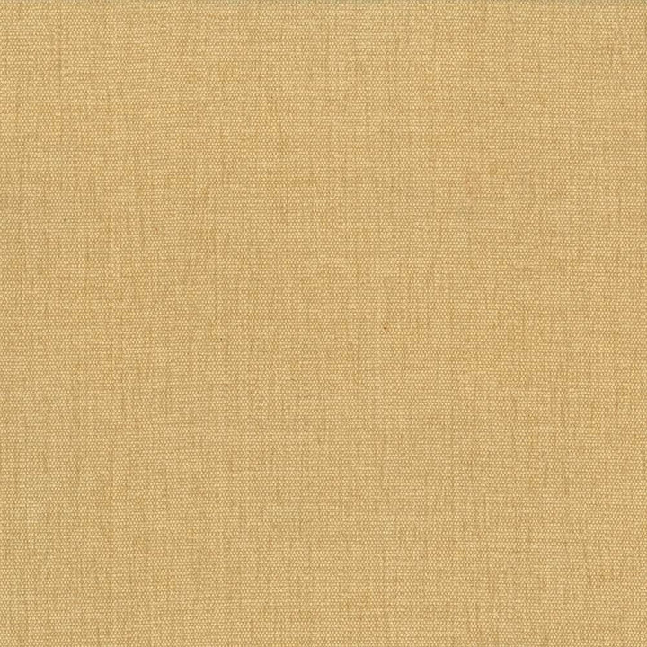 Pinnacle Mustard by Kasmir Fabric 5046 100% Polyester
 INDIA 102,000 Wyzenbeek Double Rubs </p><p>Repeat: Horizontal: N/A and Vertical: N/A 54 - Fabric Carolina -