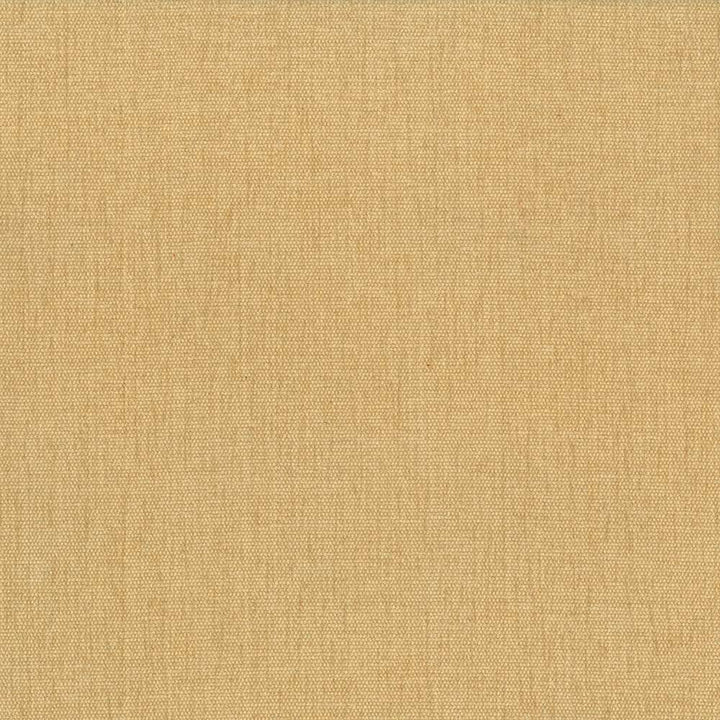 Pinnacle Mustard by Kasmir Fabric 1353 INDIA 102,000 Wyzenbeek Double Rubs H: N/A, V:N/A 54 - 55 - Fabric Carolina - Kasmir
