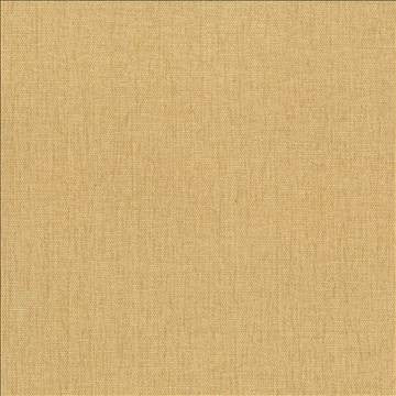 Pinnacle Mustard by Kasmir Fabric 5046 100% Polyester INDIA 102,000 Wyzenbeek Double Rubs H: N/A, V: N/A 54 - 55 - Fabric Carolina - Kasmir
