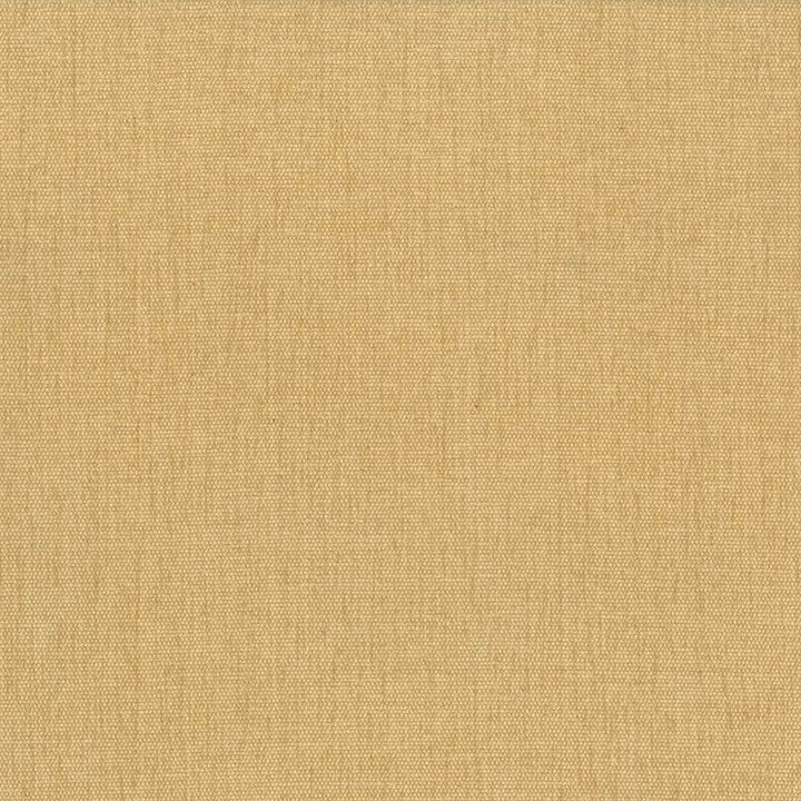 Pinnacle Mustard by Kasmir Fabric 5046 100% Polyester
 INDIA </p><p>Repeat: Horizontal: N/A and Vertical: N/A 54 - 55 - Fabric Carolina -