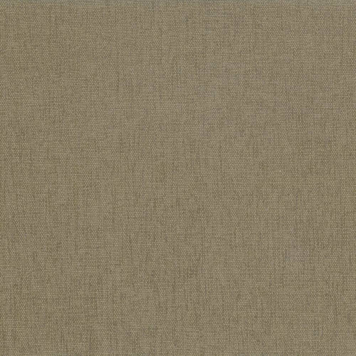 Pinnacle Olive by Kasmir Fabric 1353 INDIA 102,000 Wyzenbeek Double Rubs H: N/A, V:N/A 54 - 55 - Fabric Carolina - Kasmir