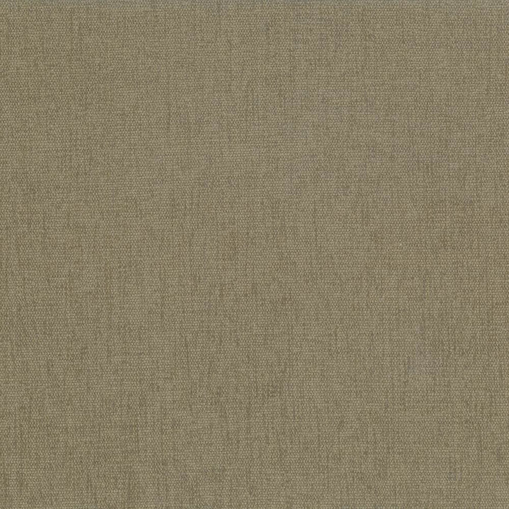 Pinnacle Olive  by Kasmir Fabric See sample 100% Polyester
 INDIA 102,000 Wyzenbeek Double Rubs </p><p>Repeat: Horizontal: N/A and Vertical: N/A 54  - Fabric Carolina -