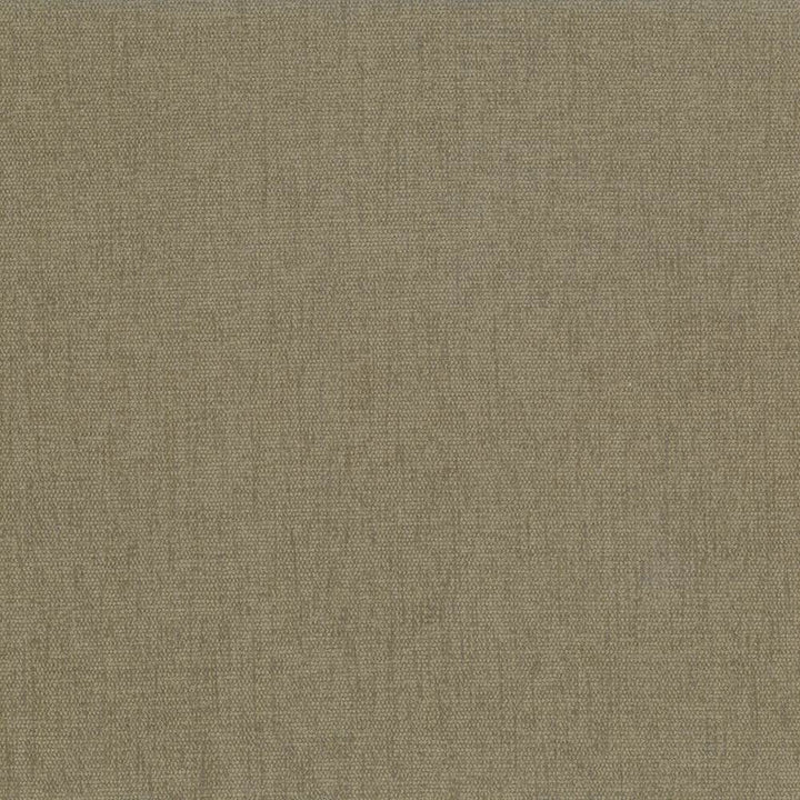 Pinnacle Olive by Kasmir Fabric 5046 100% Polyester
 INDIA </p><p>Repeat: Horizontal: N/A and Vertical: N/A 54 - 55 - Fabric Carolina -