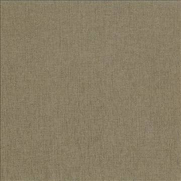 Pinnacle Olive by Kasmir Fabric 5046 100% Polyester INDIA 102,000 Wyzenbeek Double Rubs H: N/A, V: N/A 54 - 55 - Fabric Carolina - Kasmir
