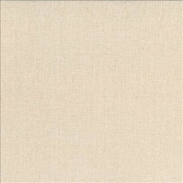 Pinnacle Oyster by Kasmir Fabric 5046 100% Polyester INDIA 102,000 Wyzenbeek Double Rubs H: N/A, V: N/A 54 - 55 - Fabric Carolina - Kasmir