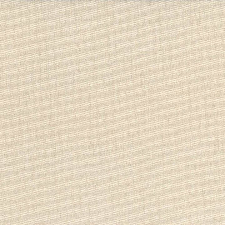 Pinnacle Oyster by Kasmir Fabric 5046 100% Polyester
 INDIA </p><p>Repeat: Horizontal: N/A and Vertical: N/A 54 - 55 - Fabric Carolina -