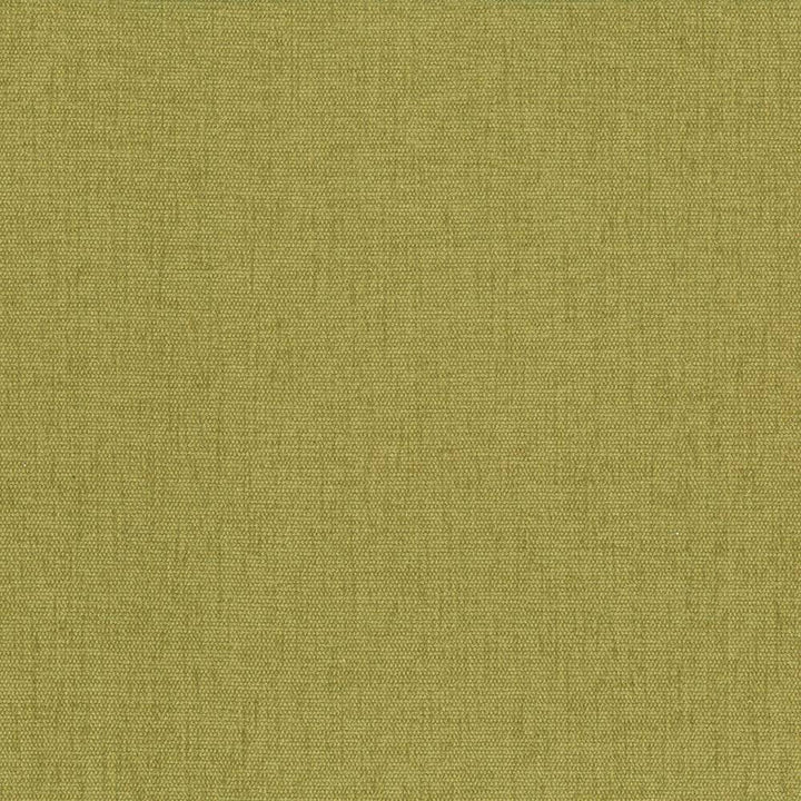 Pinnacle Palm by Kasmir Fabric 5046 INDIA 102,000 Wyzenbeek Double Rubs H: N/A, V:N/A 54 - 55 - Fabric Carolina - Kasmir