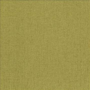 Pinnacle Palm by Kasmir Fabric 5046 100% Polyester INDIA 102,000 Wyzenbeek Double Rubs H: N/A, V: N/A 54 - 55 - Fabric Carolina - Kasmir