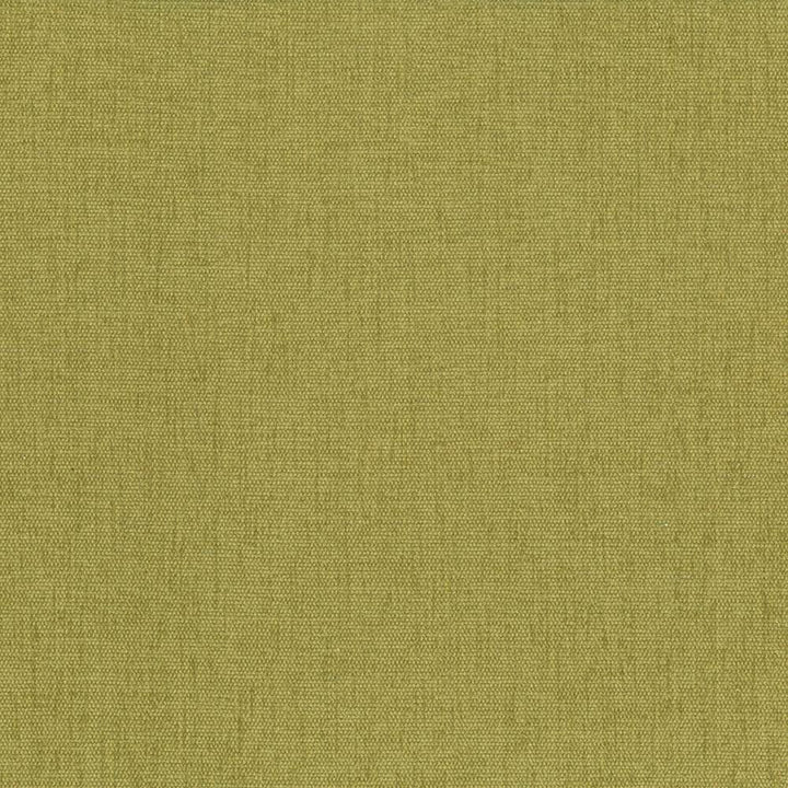 Pinnacle Palm by Kasmir Fabric 5046 100% Polyester INDIA 102,000 Wyzenbeek Double Rubs Horizontal: 0 Inches and Vertical: 0 Inches 54 - 55 - Fabric Carolina -