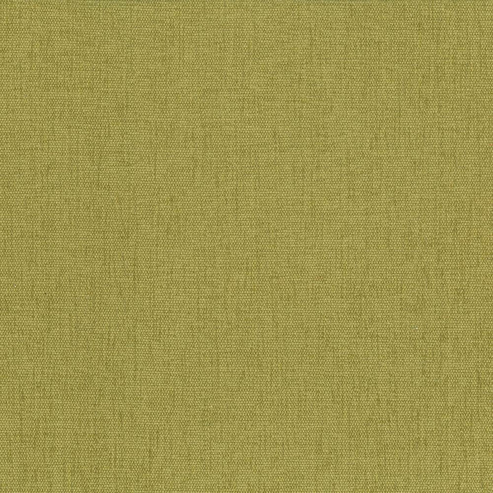 Pinnacle Palm by Kasmir Fabric 5046 100% Polyester
 INDIA </p><p>Repeat: Horizontal: N/A and Vertical: N/A 54 - 55 - Fabric Carolina -