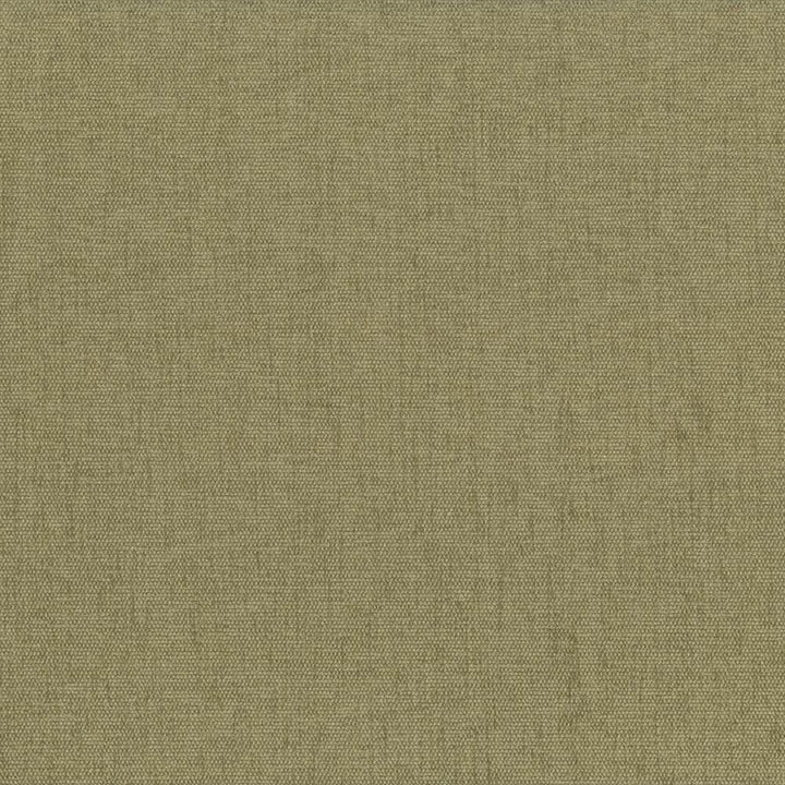 Pinnacle Parsley by Kasmir Fabric 5046 100% Polyester
 INDIA 102,000 Wyzenbeek Double Rubs Horizontal: N/A and Vertical: N/A 54 - Fabric Carolina -